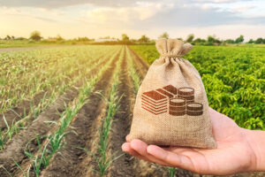 Agronegócio no Pará cresce com bioeconomia, exportações e cadeias produtivas estratégicas