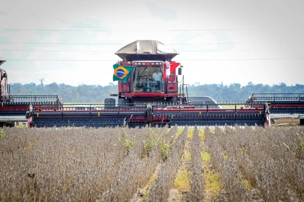 Pará fortalece protagonismo no agro com expansão da soja, cacau, pecuária e exportações