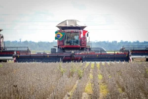 Pará fortalece protagonismo no agro com expansão da soja, cacau, pecuária e exportações