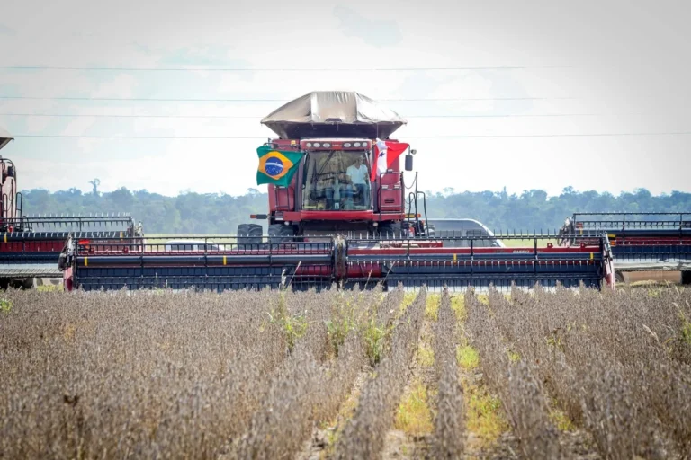 Pará fortalece protagonismo no agro com expansão da soja, cacau, pecuária e exportações